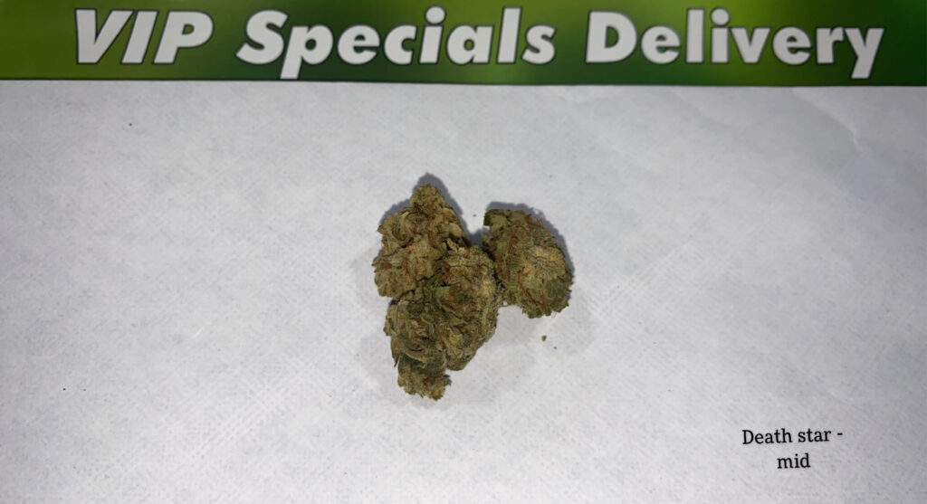 INDICA – VIP Specials Delivery